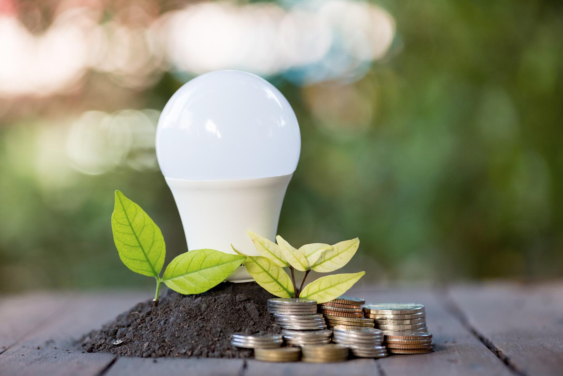 A light bulb surrounded by a growing plant and coins. 