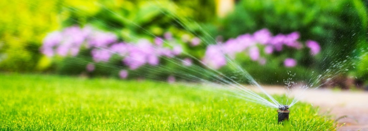 A sprinkler spraying water on a healthy lawn in front of a home