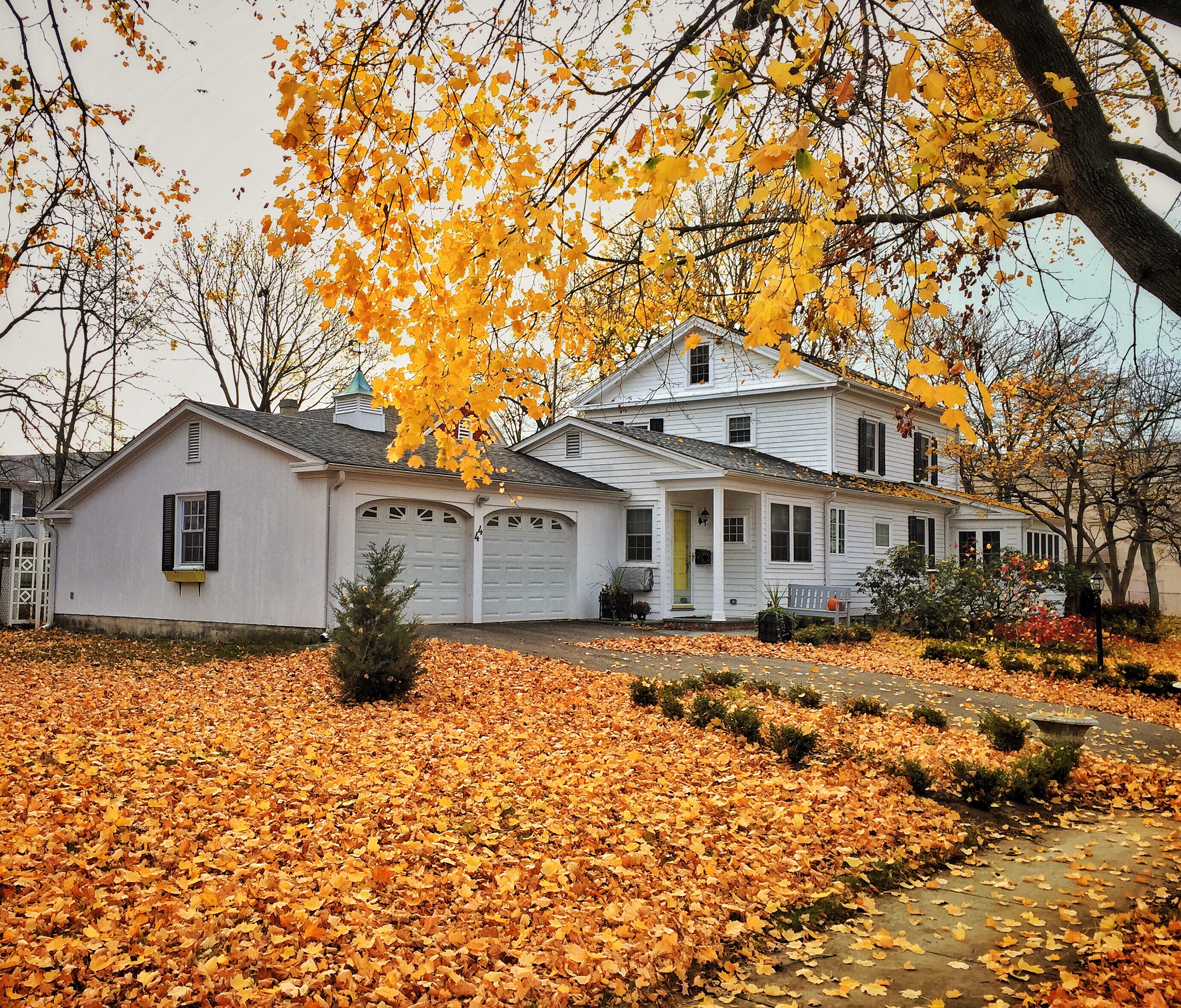 A house covered in leaves in Autumn