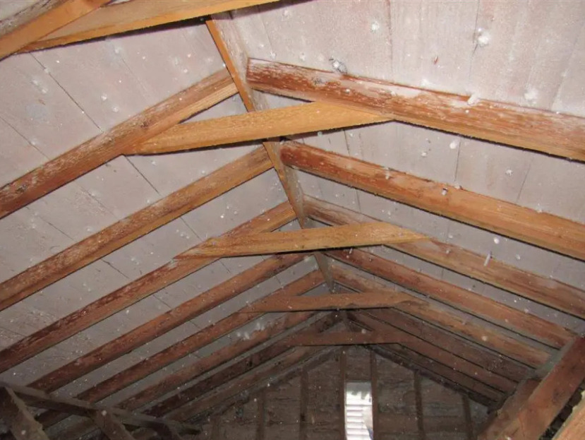 Protect Your Attic from Moisture Problems